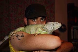 دوست داشتن حيوانات